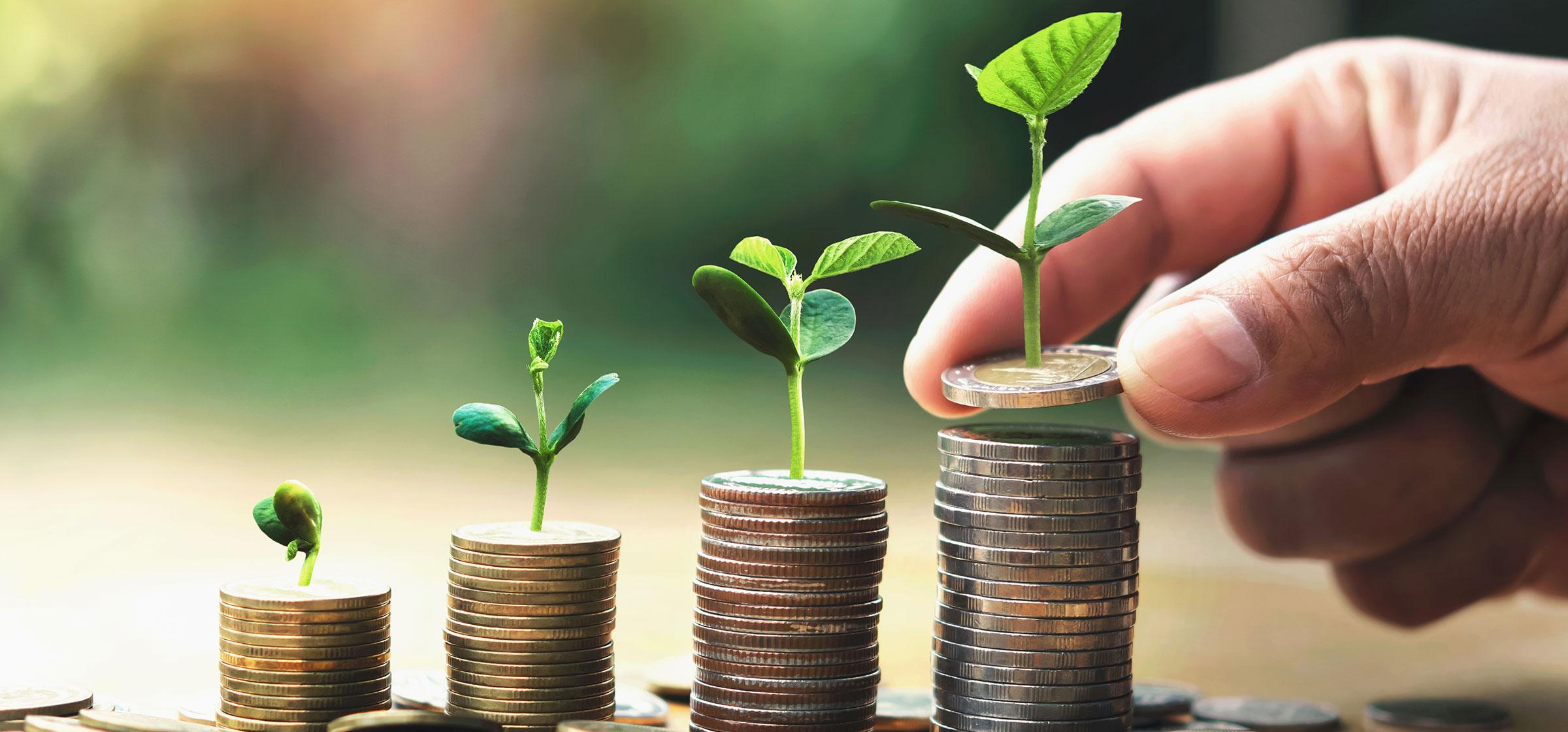 880 Life - Solutions for Swiss Clients - Insurance & Wealth Planning